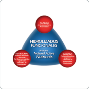 ACTIPAL HL8