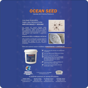OCEAN SEED
