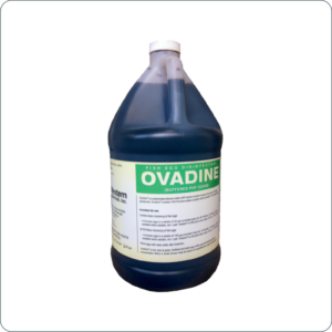 OVADINE